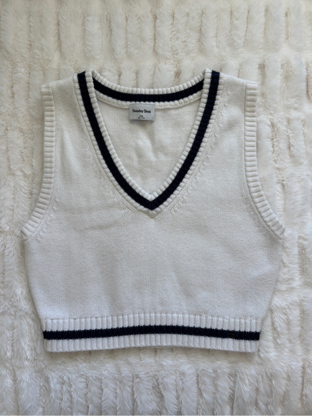 Aritzia sweater vest